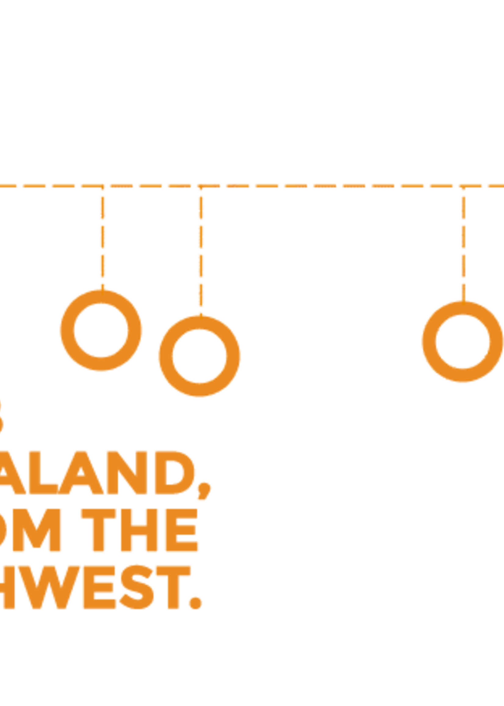 Zignature Zignature Zssentials