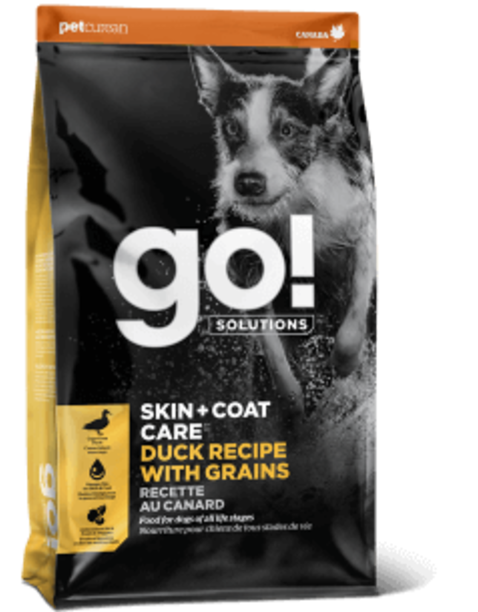 dog coat care