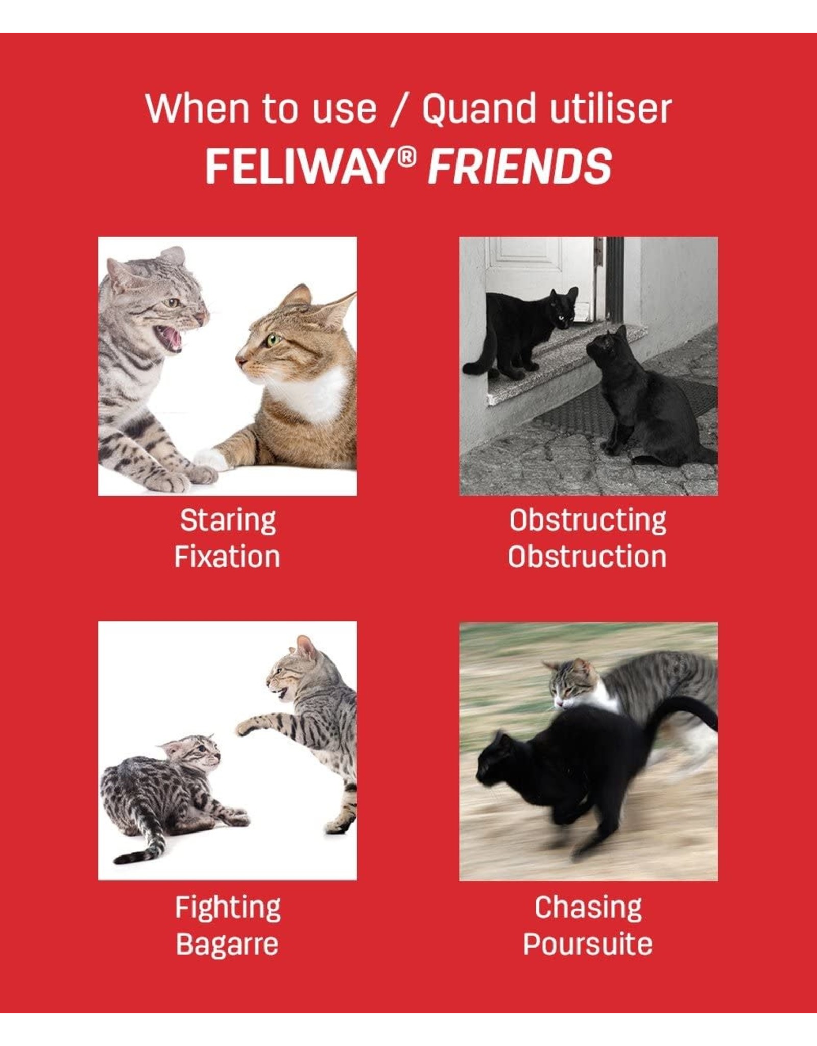 feliway friends starter pack