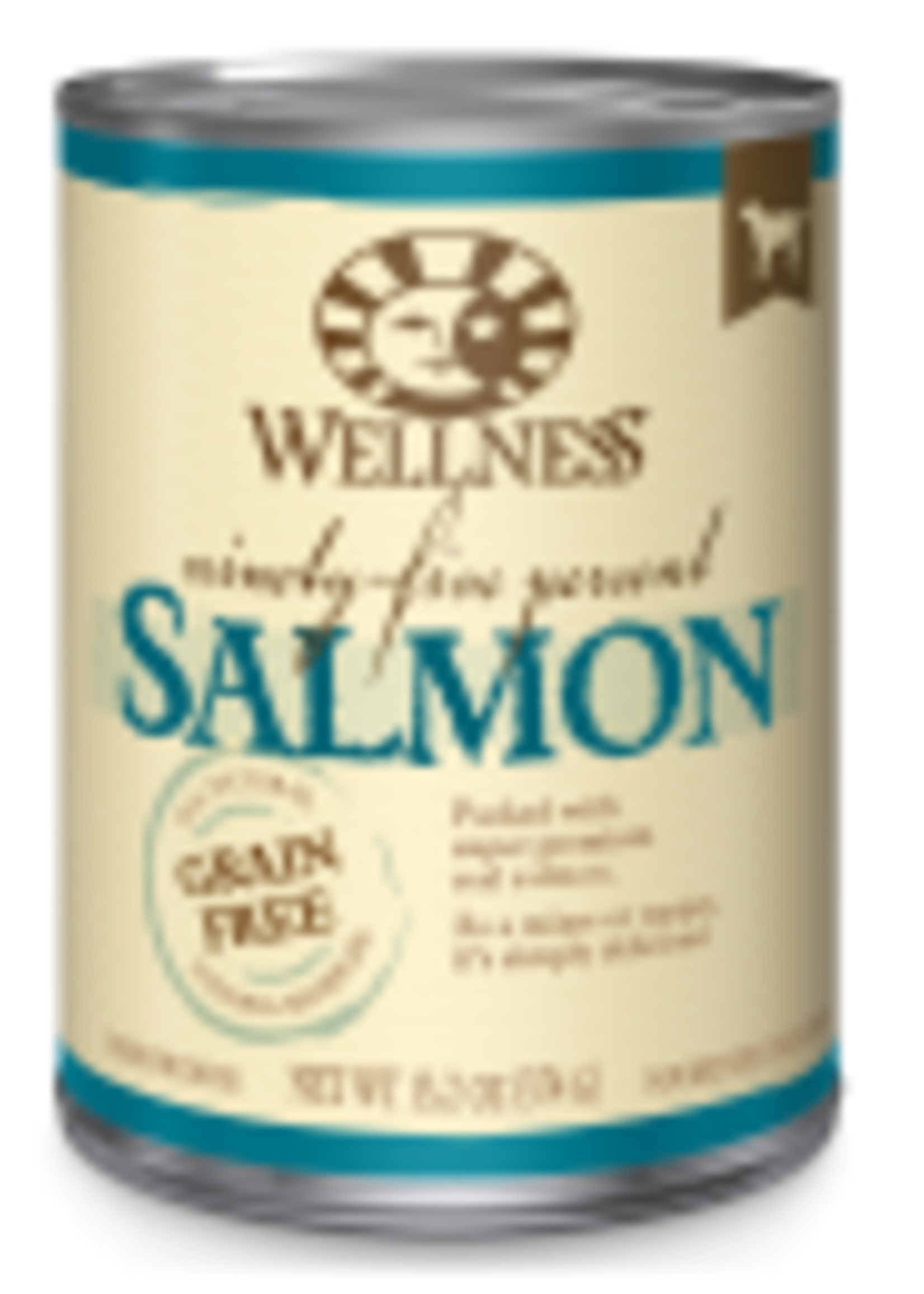 Wellness Wellness Canine 95% Salmon 13.5oz