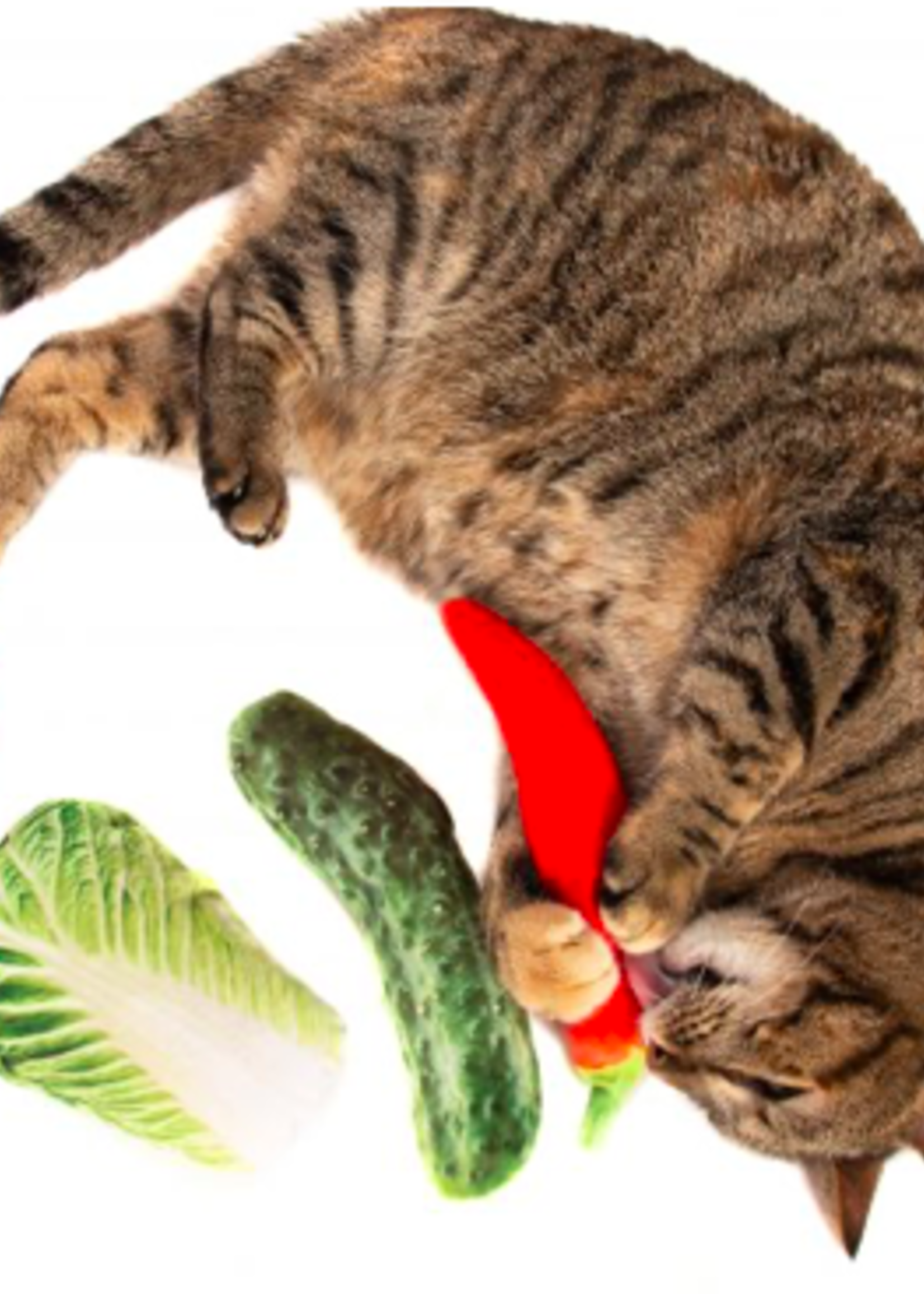 Natural Toys 4 Cats Natural Toys 4 Pets Silver Vine Jumbo Cucumber Cuddle Toy