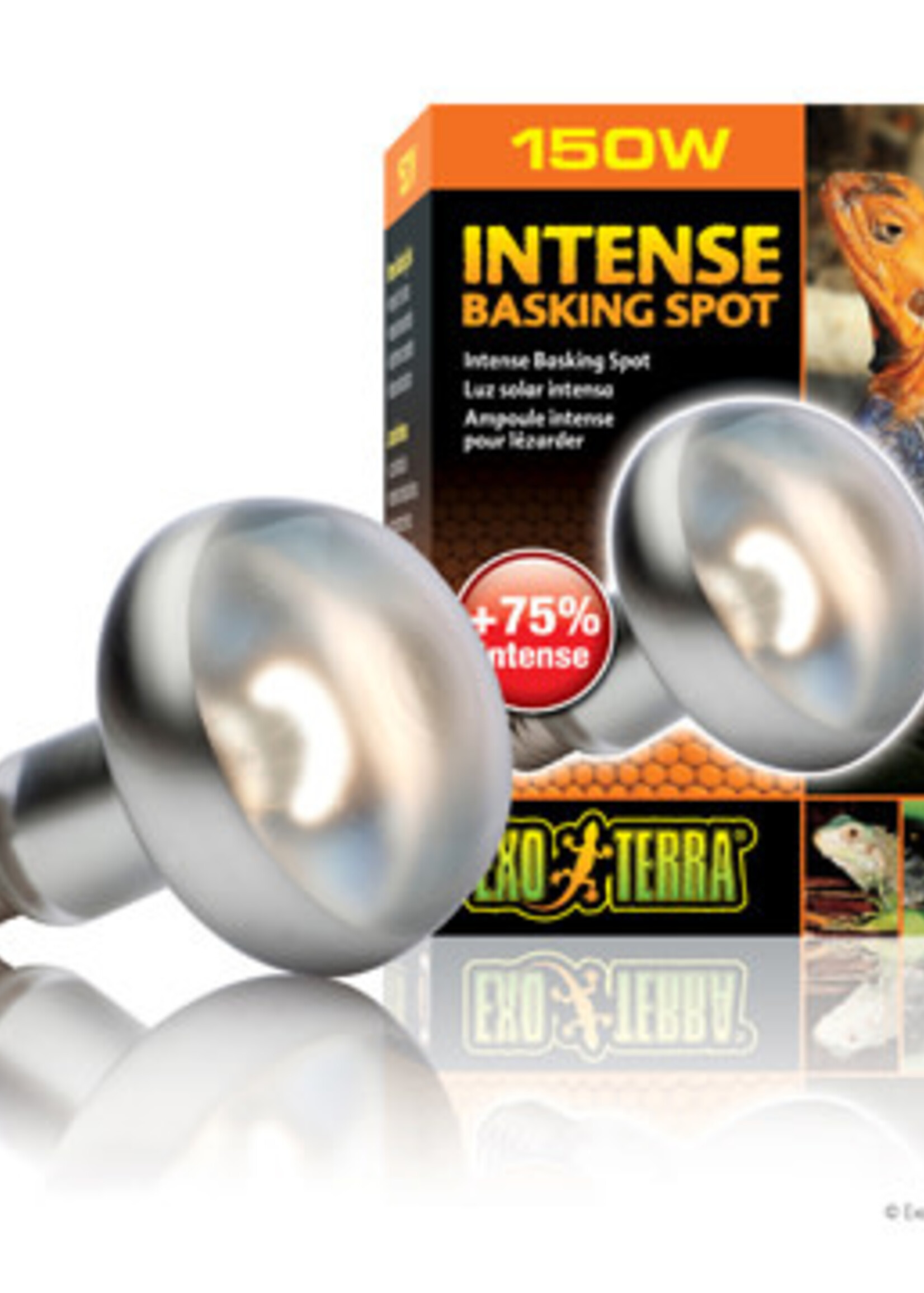 EX - Exo Terra Exo Terra Intense Basking Spot Bulbs