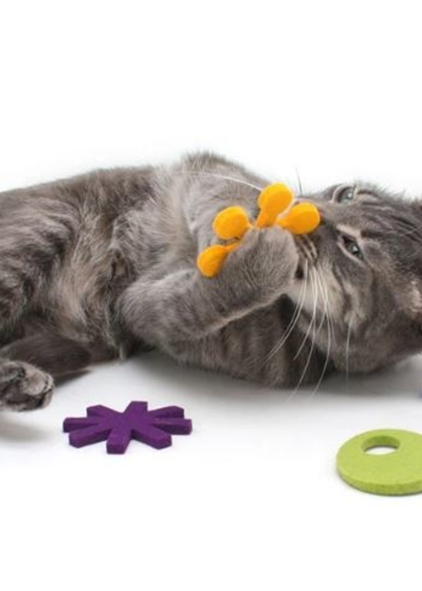 HAUS PANTHER ATOMIC FLYERS CAT TOYS ZEST