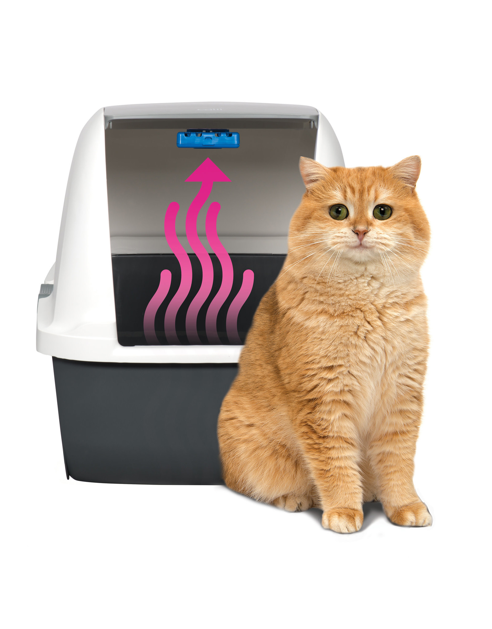 magic blue litter box regular