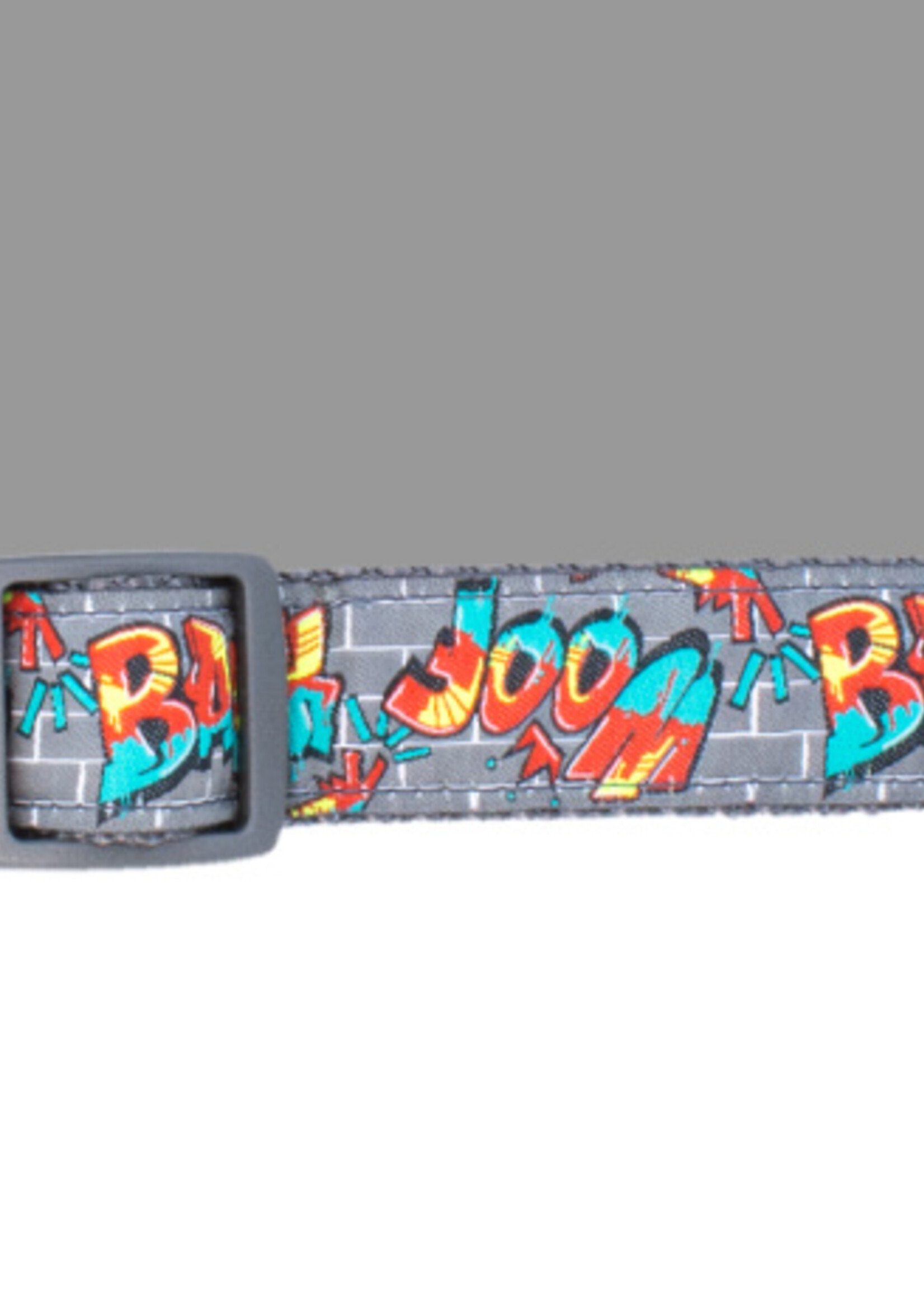 RC Pet RC Pet Dog Clip Collar Oh Canada