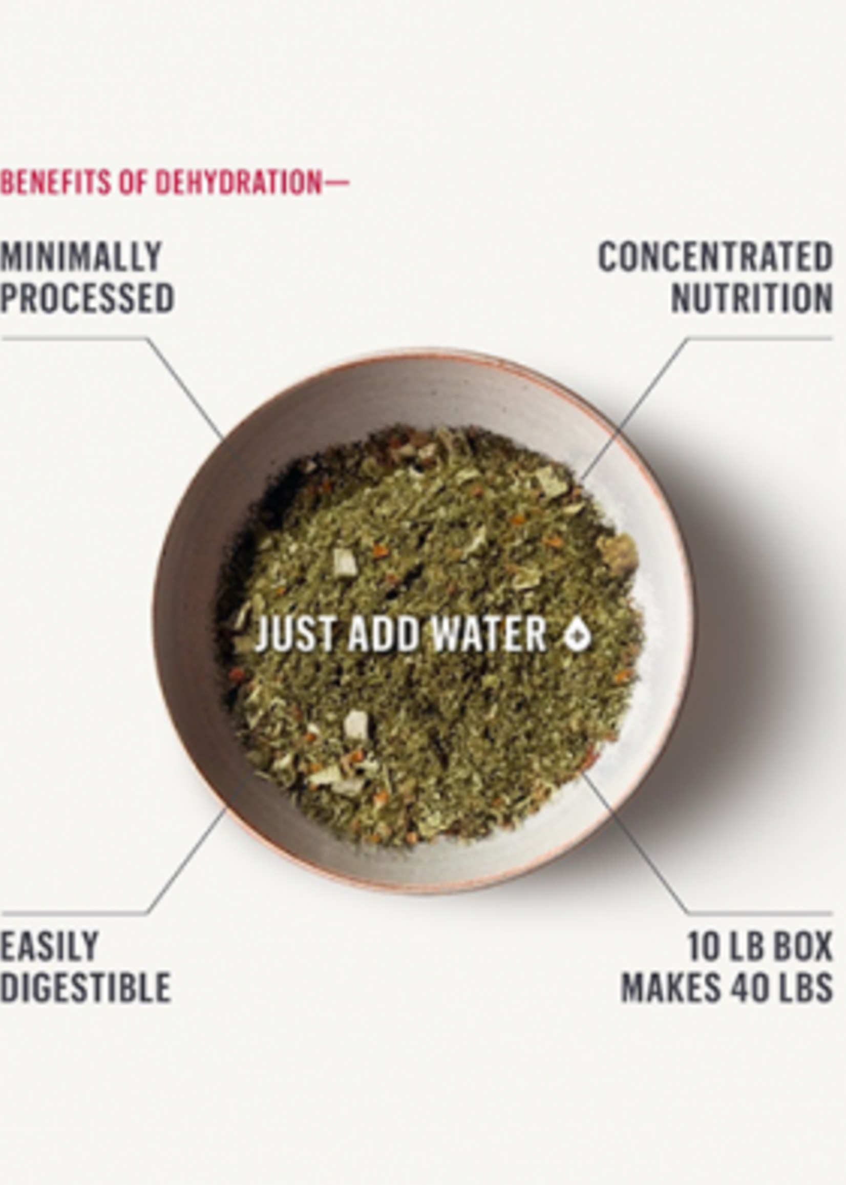 The Honest Kitchen THK Whole Grain Fish & Oats 4lb