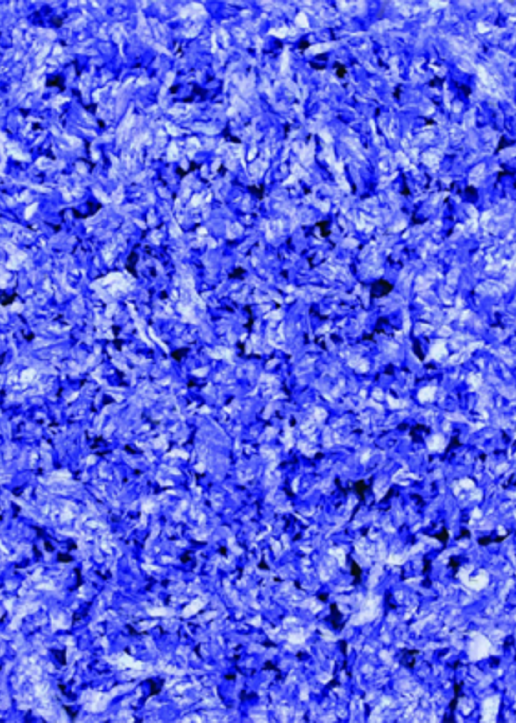 Kaytee Kaytee Clean & Cozy Bedding Purple 12.3 L