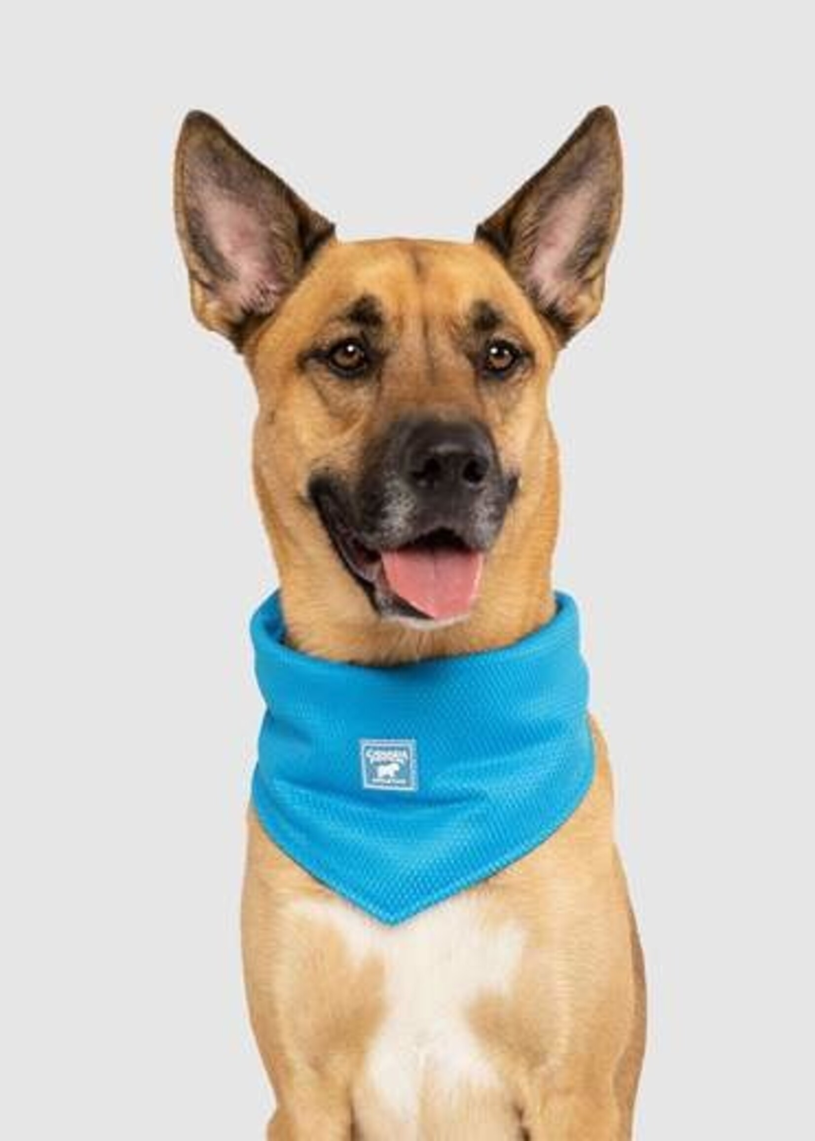 Canada Pooch Canada Pooch Chill Seeker Bandana Blue