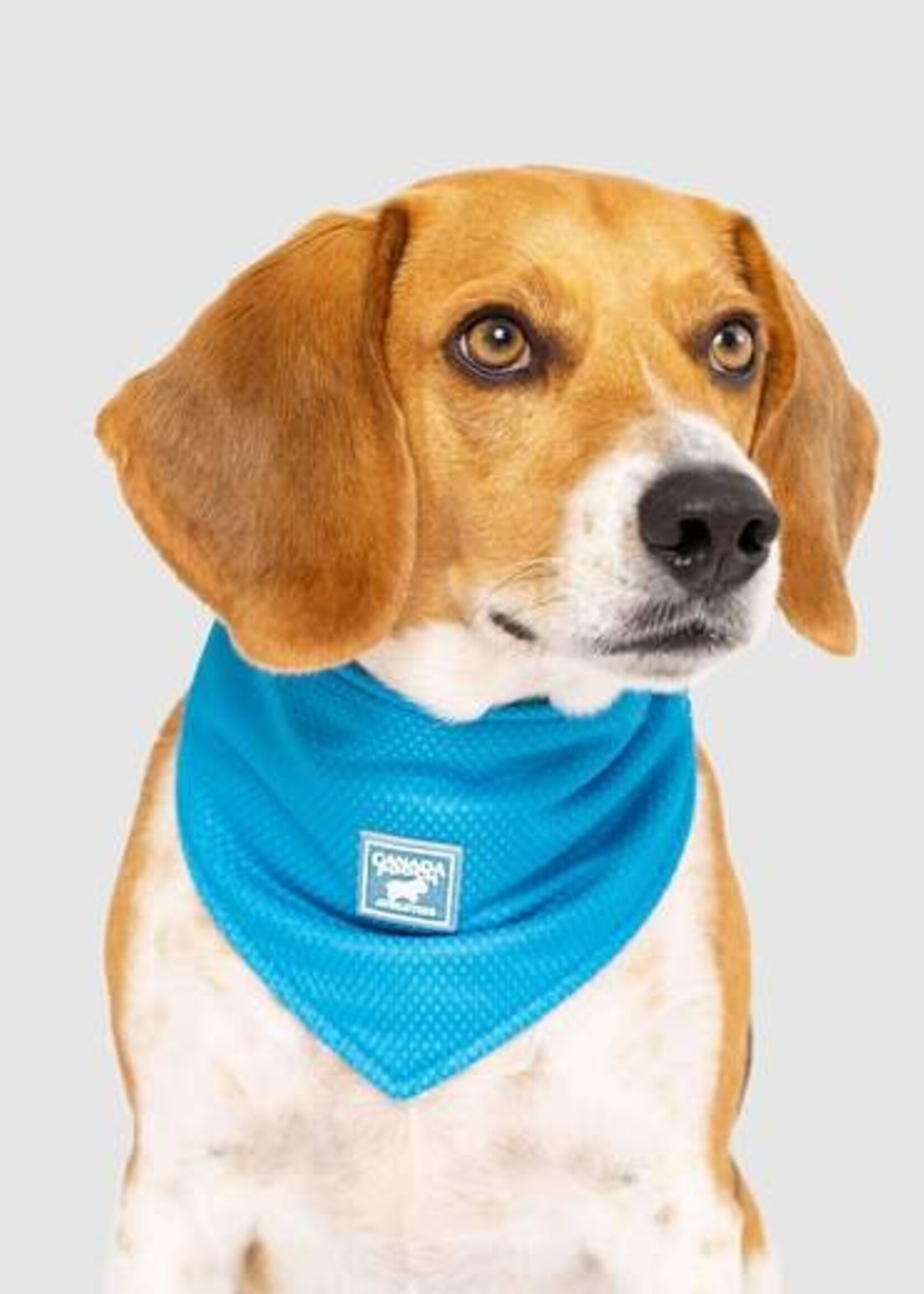Canada Pooch Canada Pooch Chill Seeker Bandana Blue