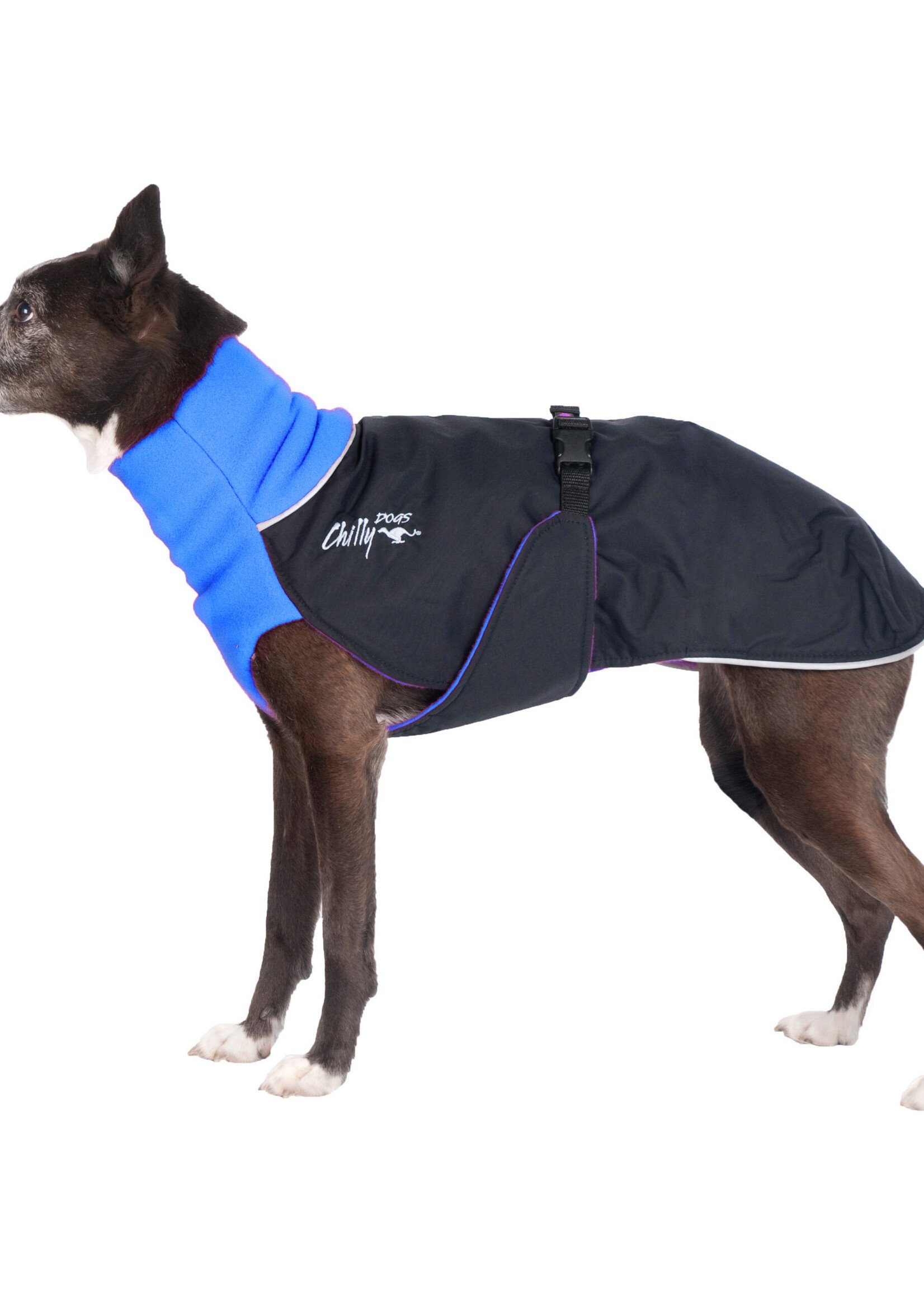 Chilly Dogs Chilly Dog Great White North Coats - Standard Black Shell