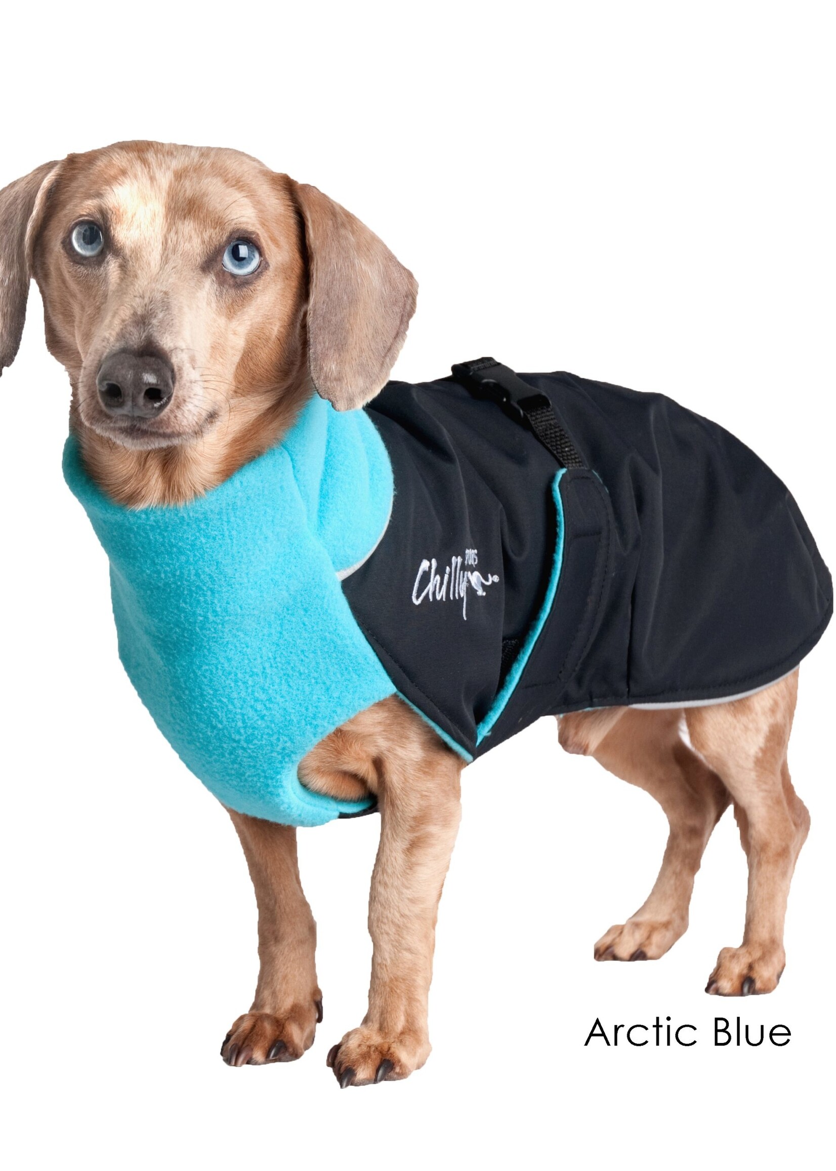 Chilly Dogs Chilly Dog Great White North Coats - Standard Black Shell