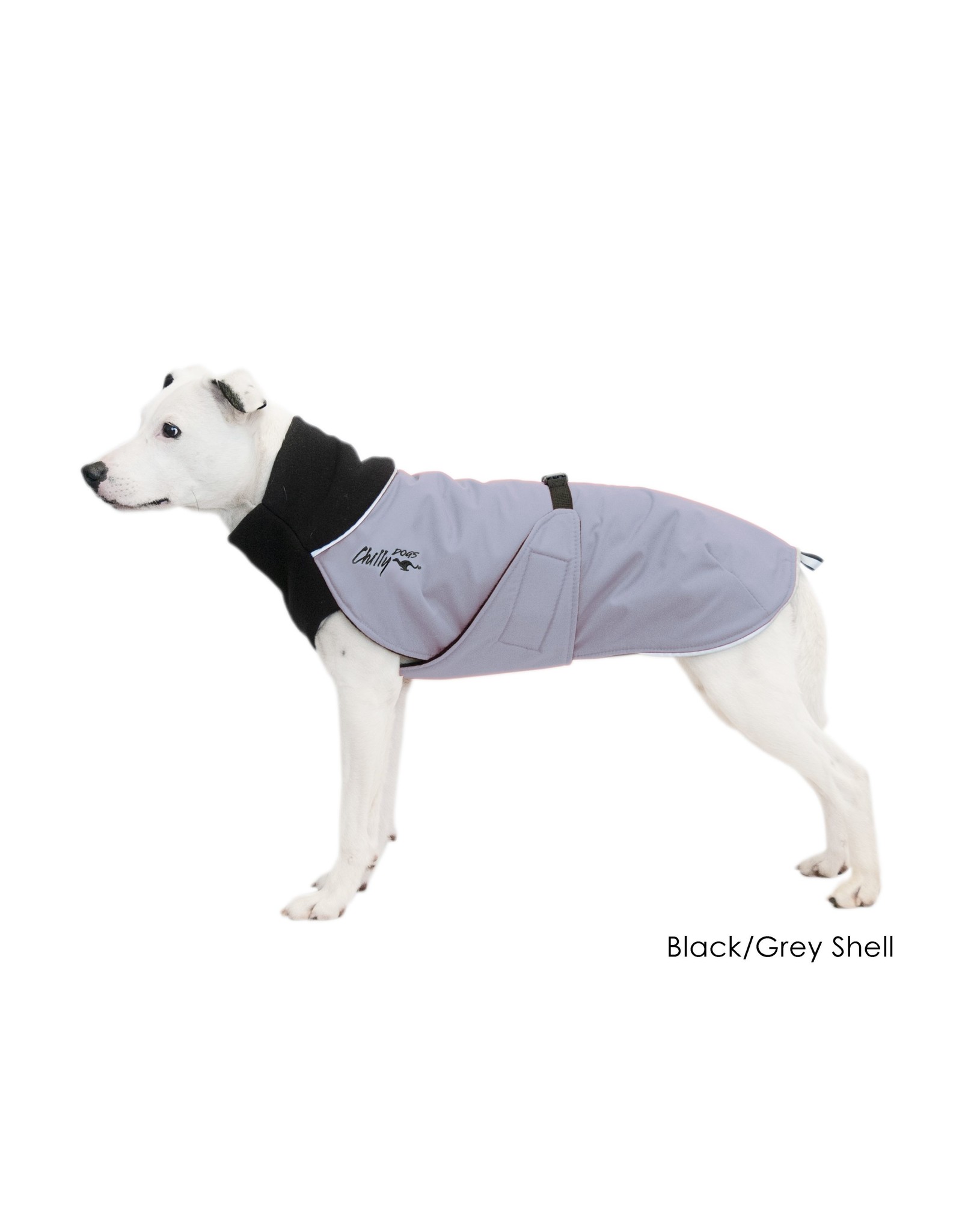 chilly dog coats