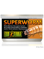 EX - Exo Terra Exo Terra Canned Superworms