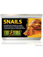 EX - Exo Terra Exo Terra Canned Snails