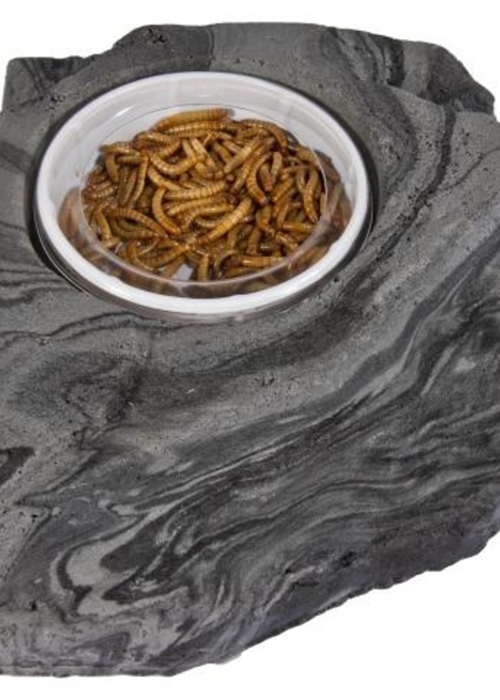 Habi-Scape HABI-SCAPE Worm Feeder Small