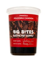 Local Springtails (Folsomia Candida - high humidity)