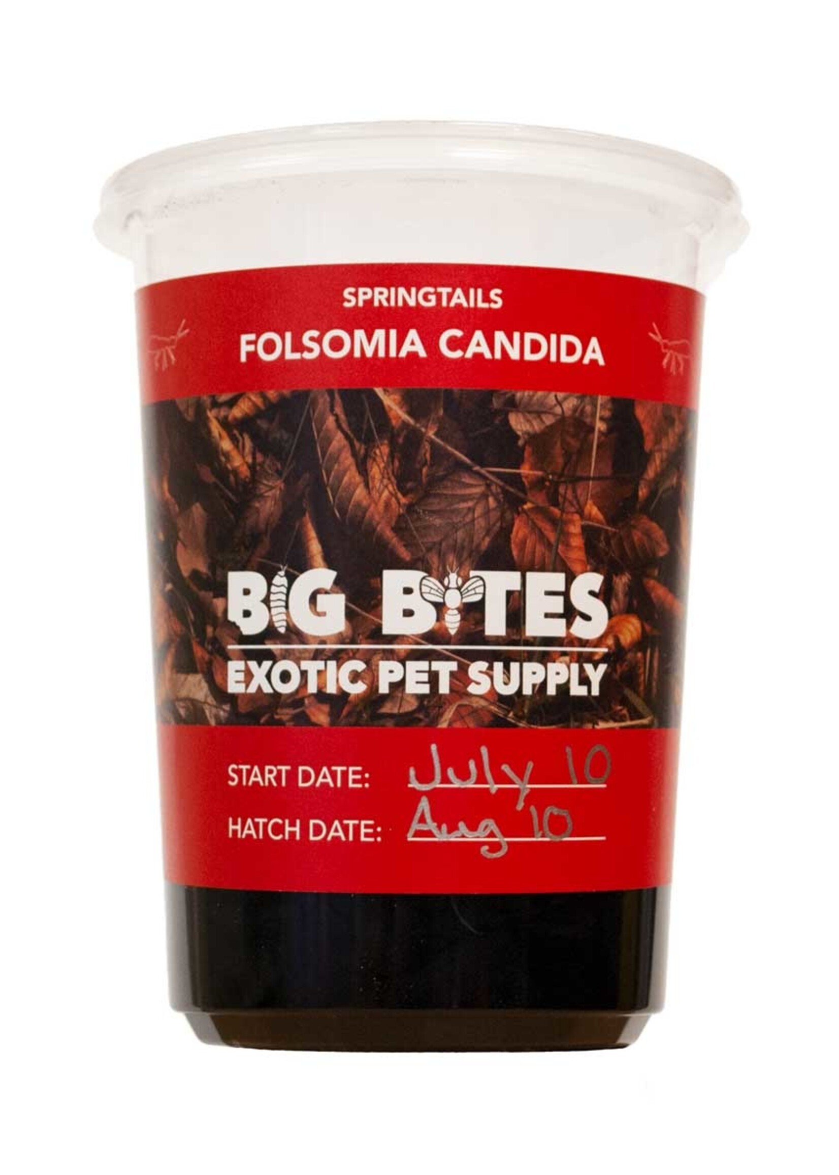 Local Springtails (Folsomia Candida - high humidity)