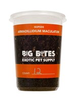 CJ Isopods Armadillidium Maculatum "Zebra" 12+