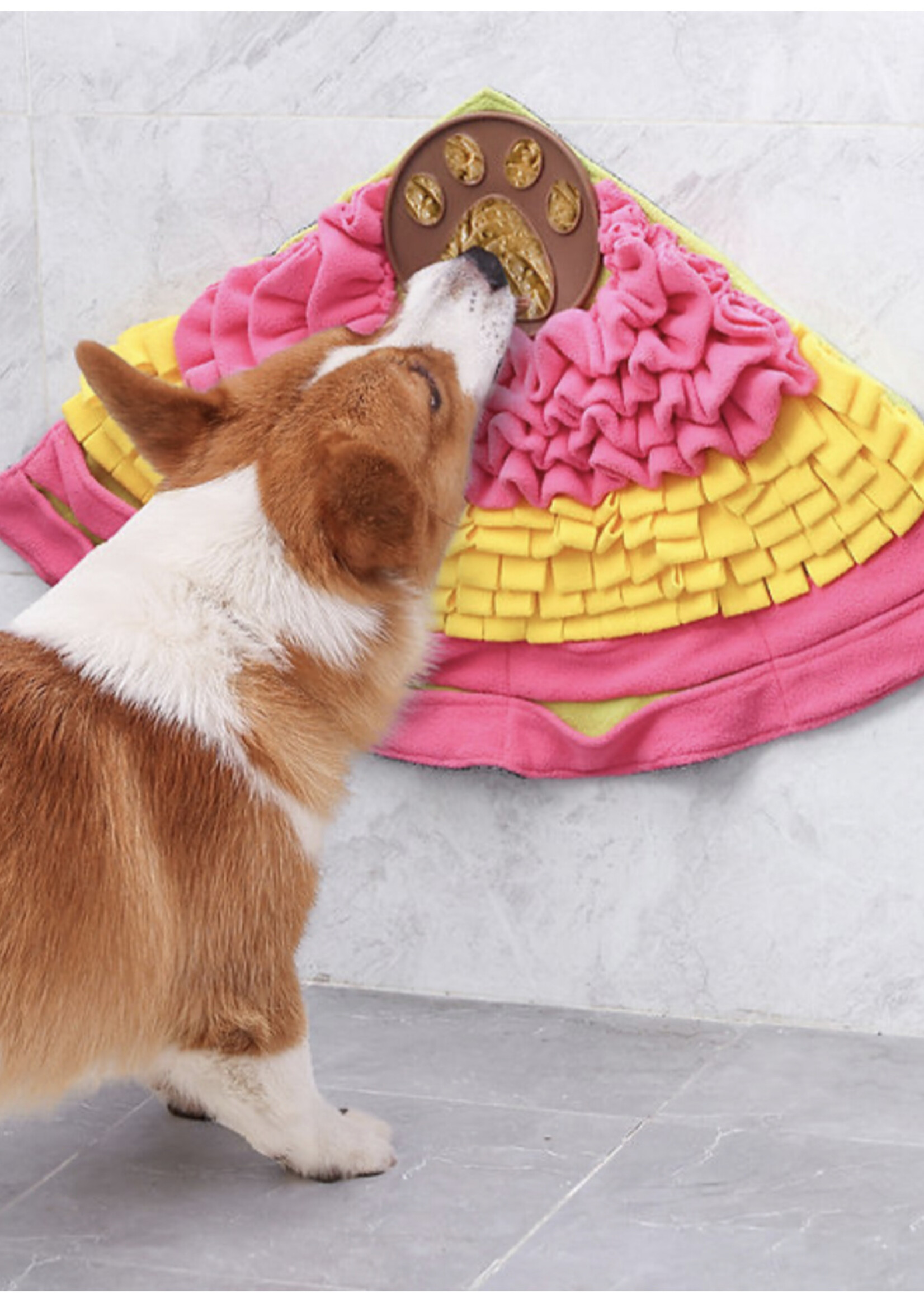 PAWZNDOGZ SNUFFLE MAT QUADRANT LVL 2