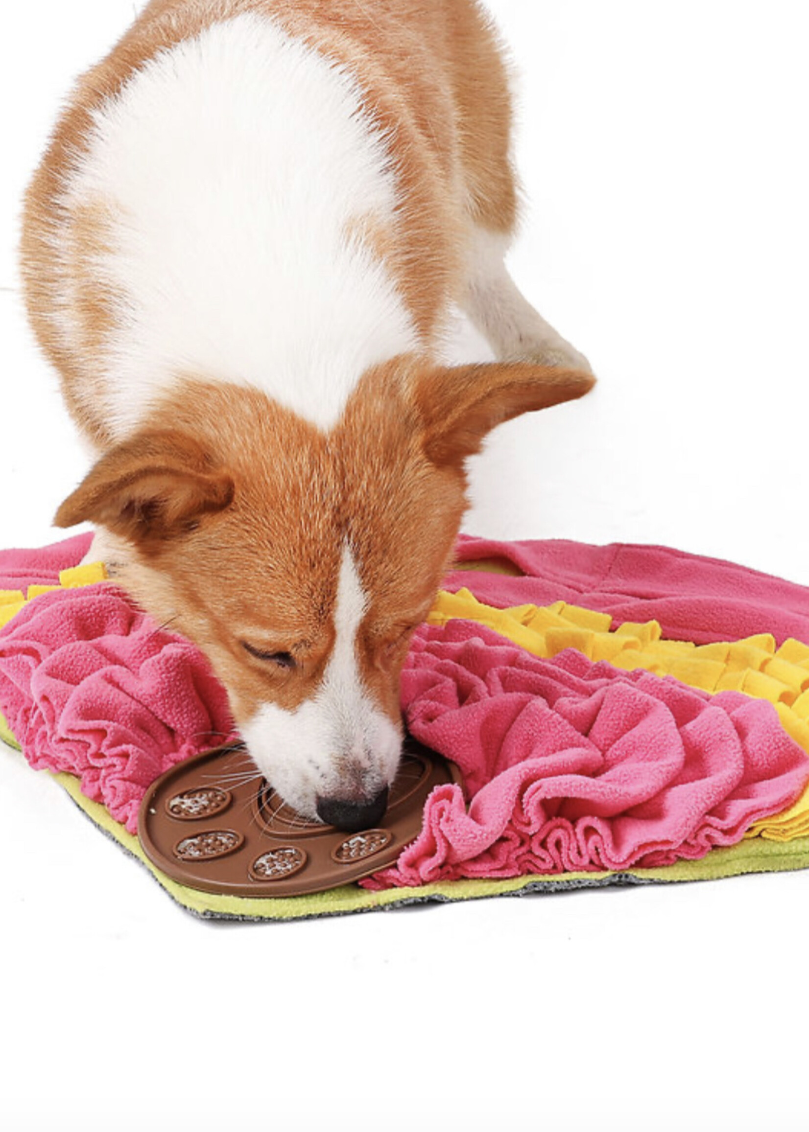 PAWZNDOGZ SNUFFLE MAT QUADRANT LVL 2