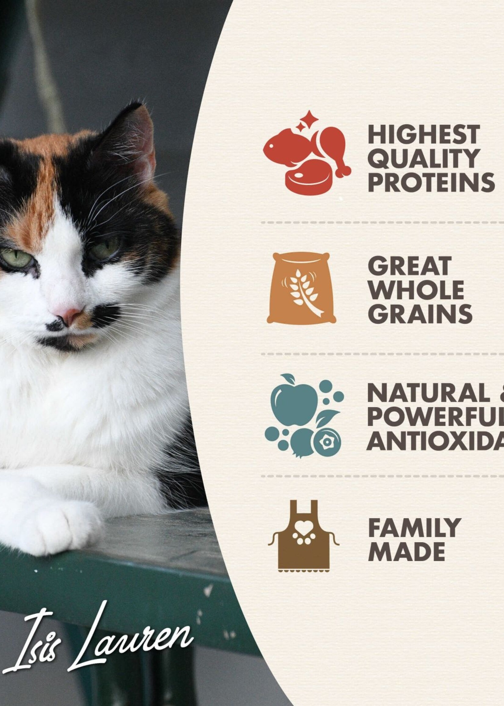 Fromm Fromm Cat Adult Gold