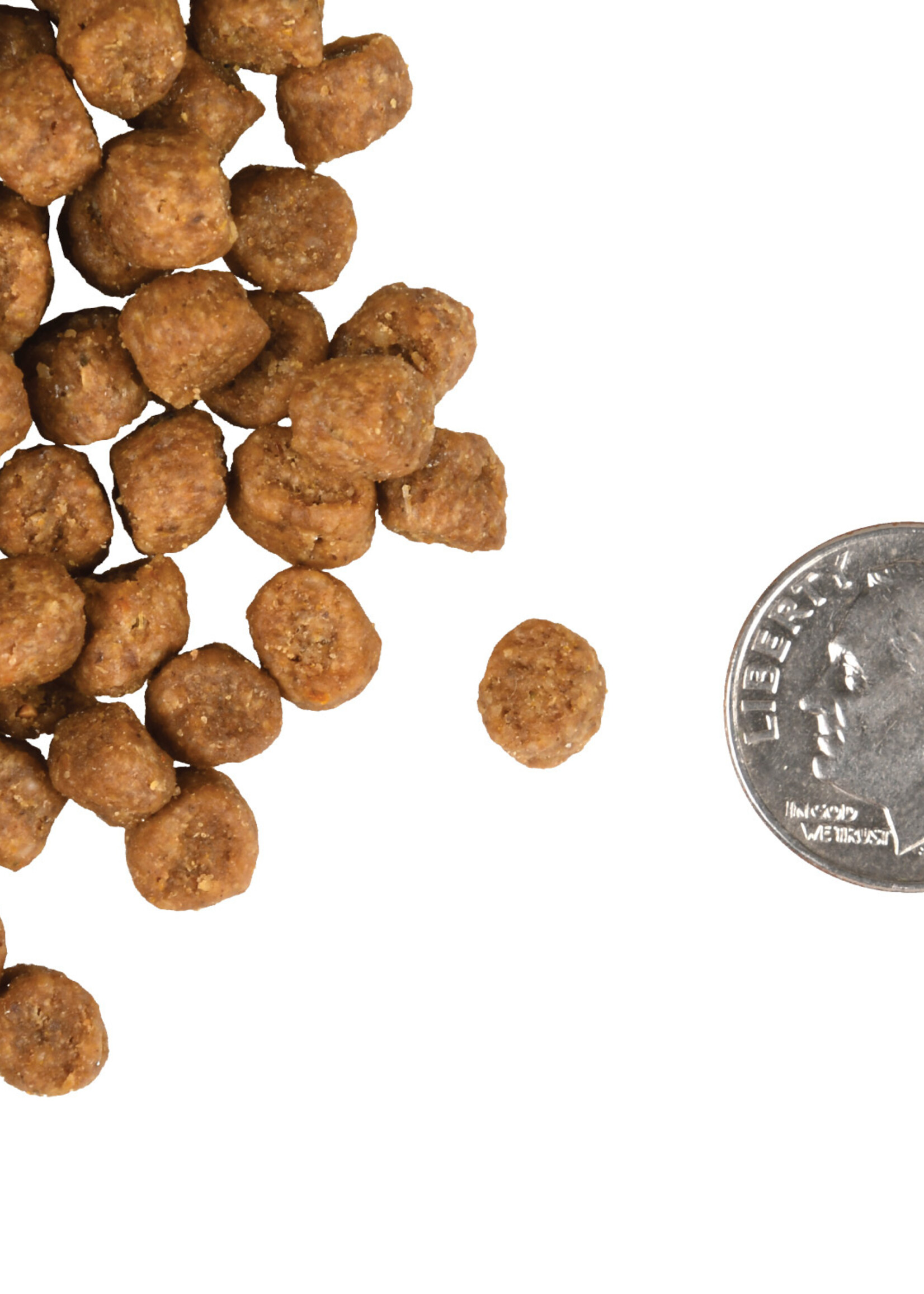 Fromm Fromm Cat Adult Gold