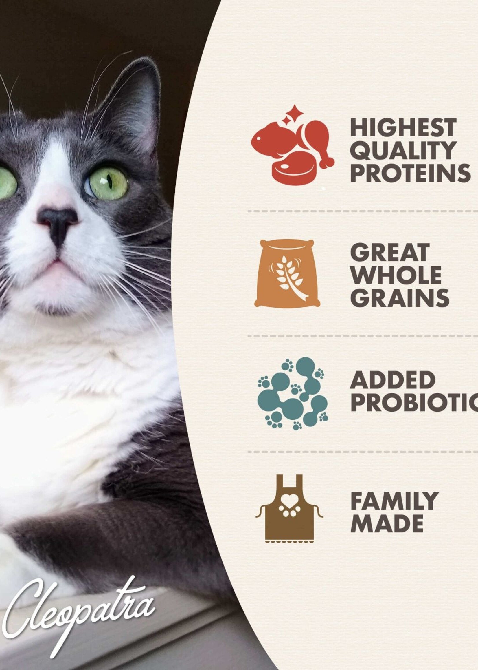 Fromm Fromm Cat Healthy Weight Gold