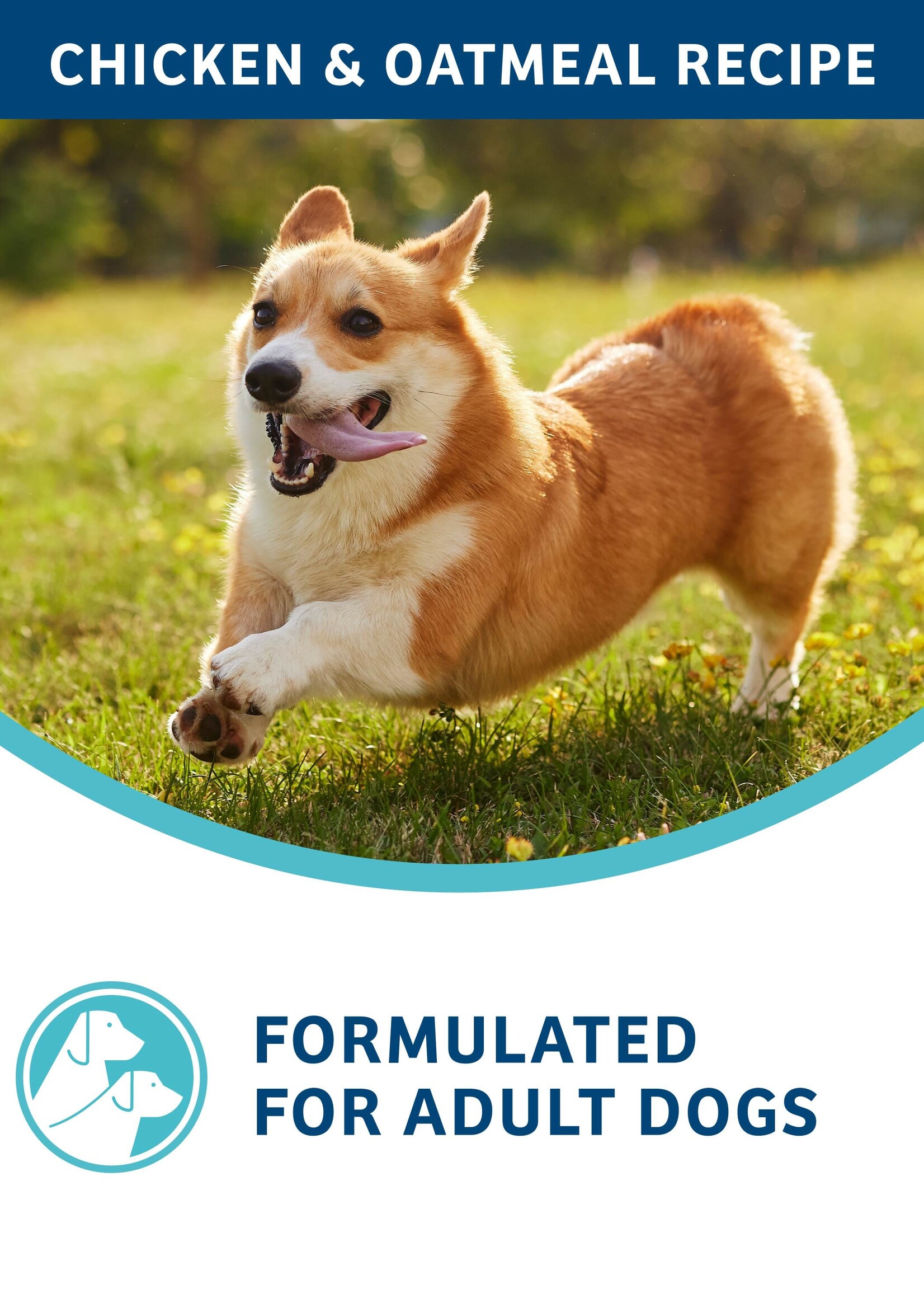Fromm Fromm Nutritionals Digestive Support Low Fat Dry Dog Food