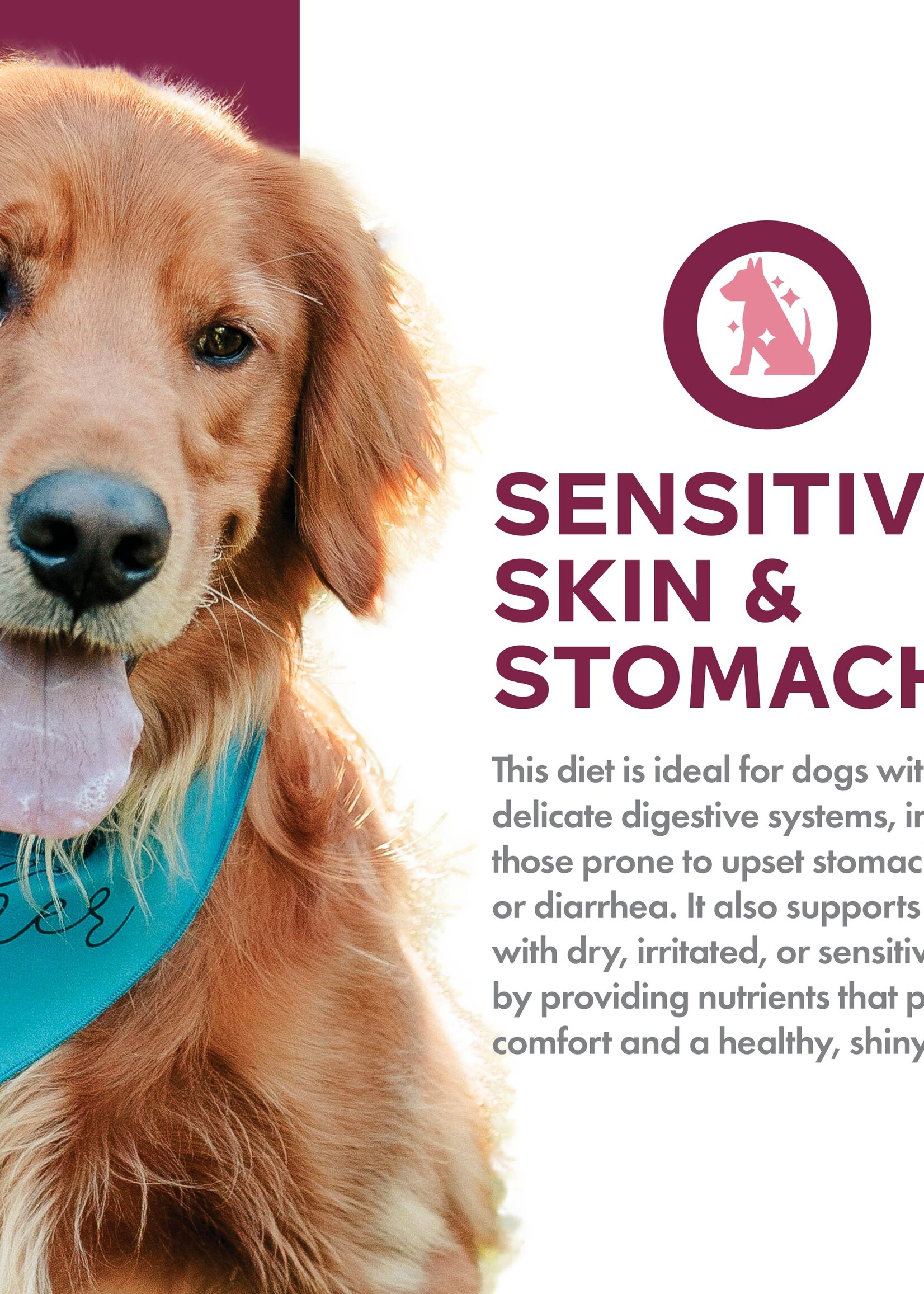 Fromm Fromm Dog Nutritionals Sensitive Skin & Stomach