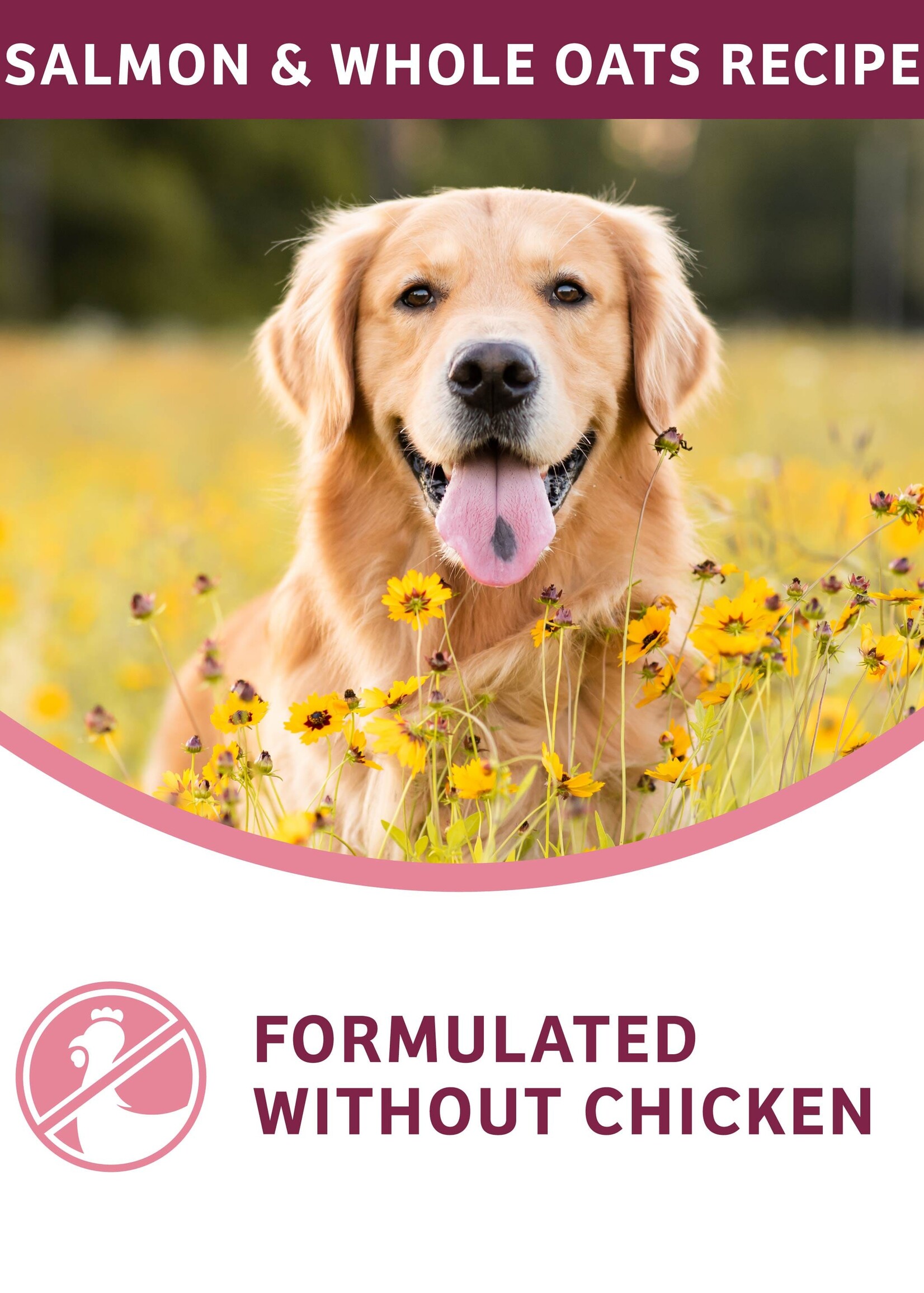 Fromm Fromm Dog Nutritionals Sensitive Skin & Stomach