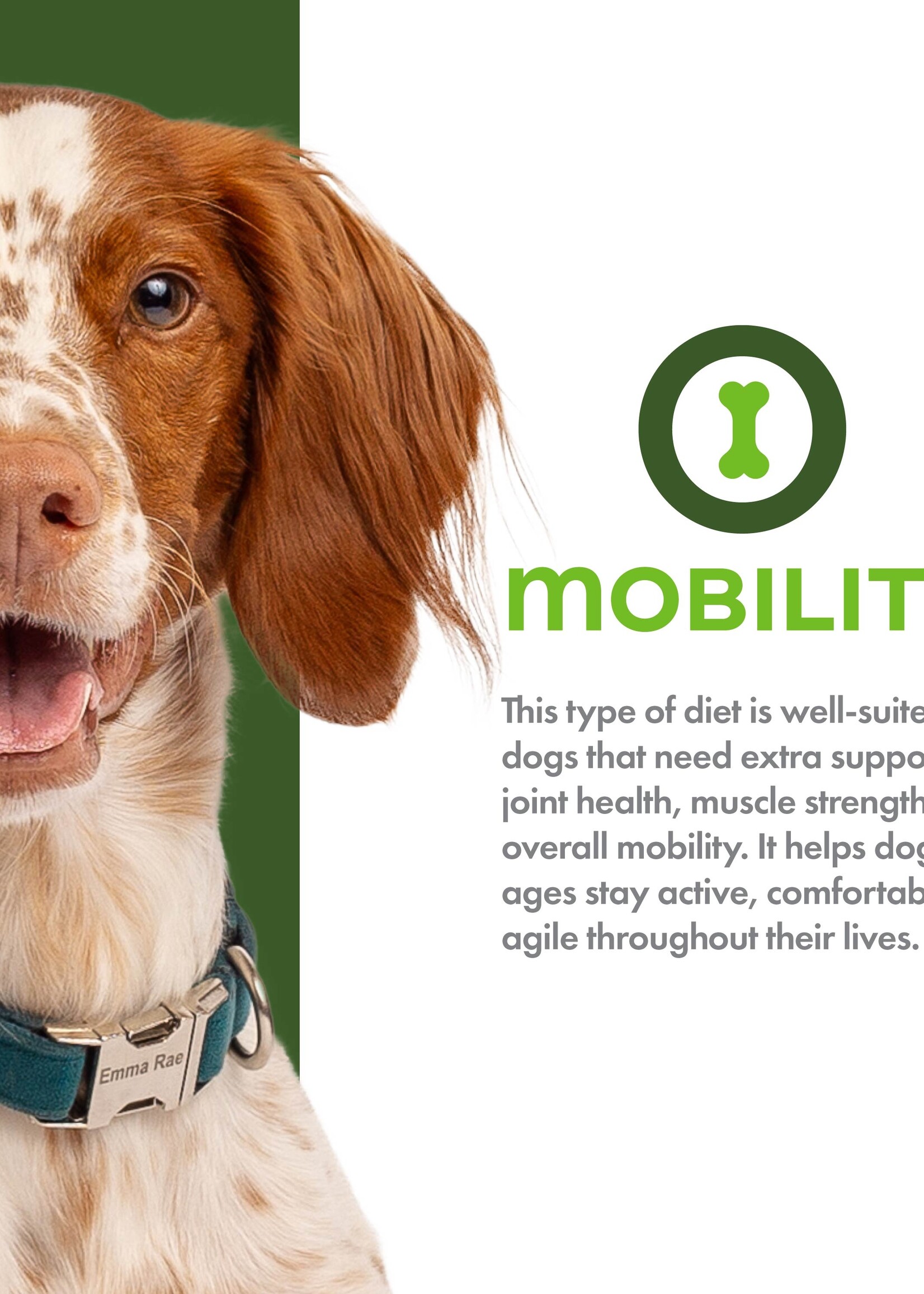 Fromm Fromm Nutritionals Mobility Dry Dog Food