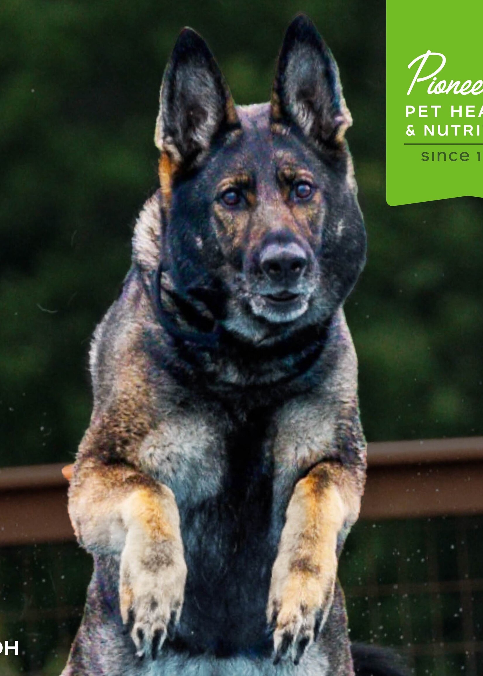 Fromm Fromm Dog Nutritionals Mobility