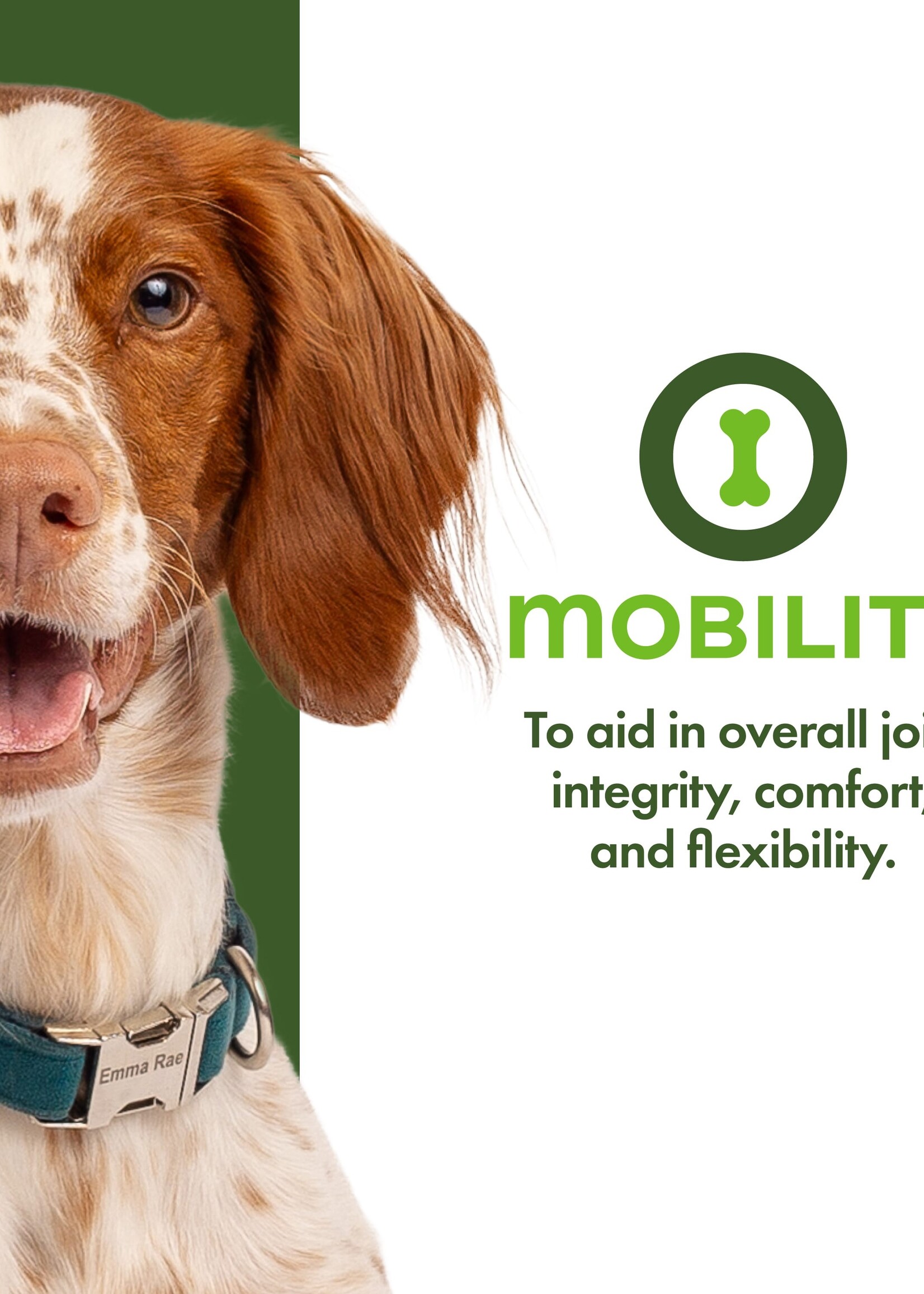 Fromm Fromm Nutritionals Treats - Mobility 6oz