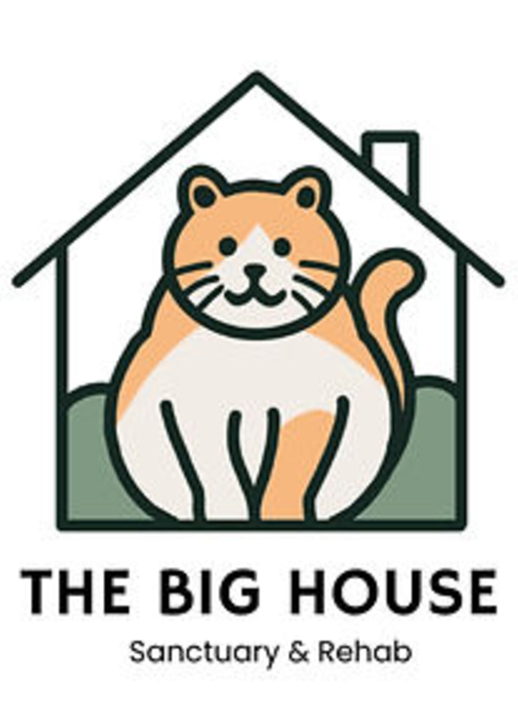 Charity Donation - The Big House Cat Rescue