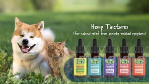 CBD for Pets