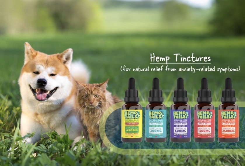 CBD for Pets