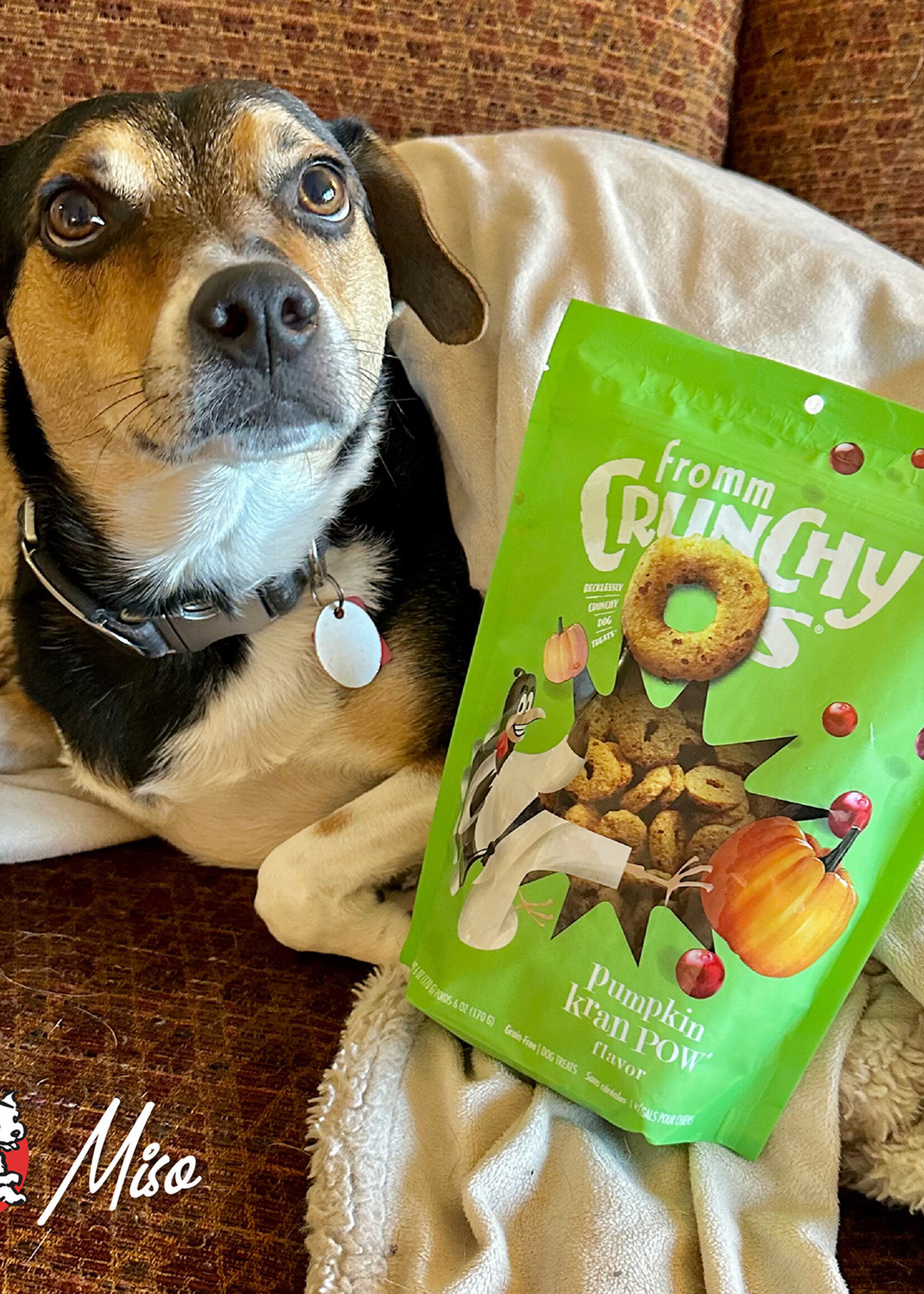 Fromm Fromm Crunchy O's Pumpkin Kran Pow