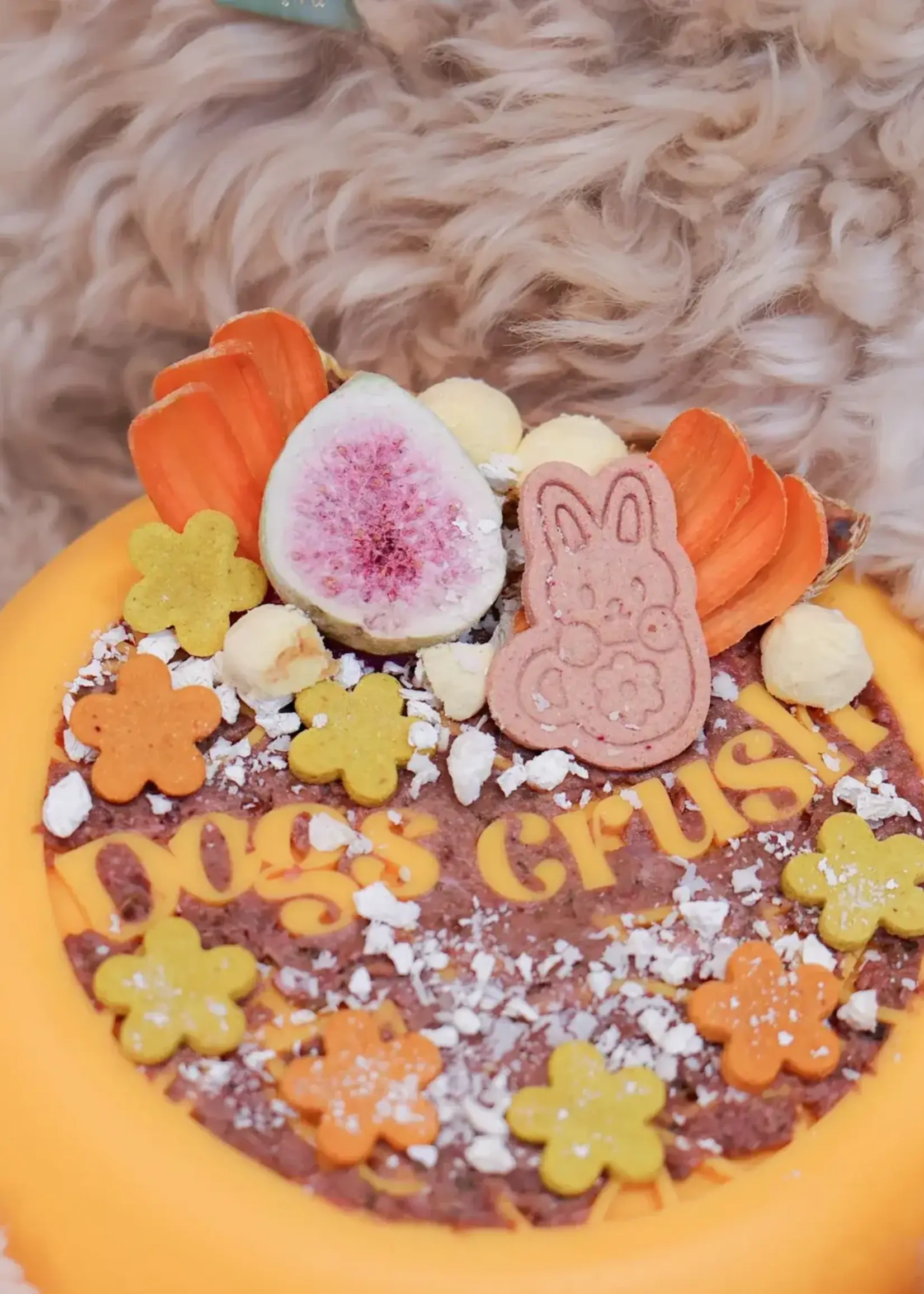 Dogs Crush Dog's Crush 3 in 1 Slow Feeder, Lick Mat and Crushsicle Bowl Medium Citrus Edition