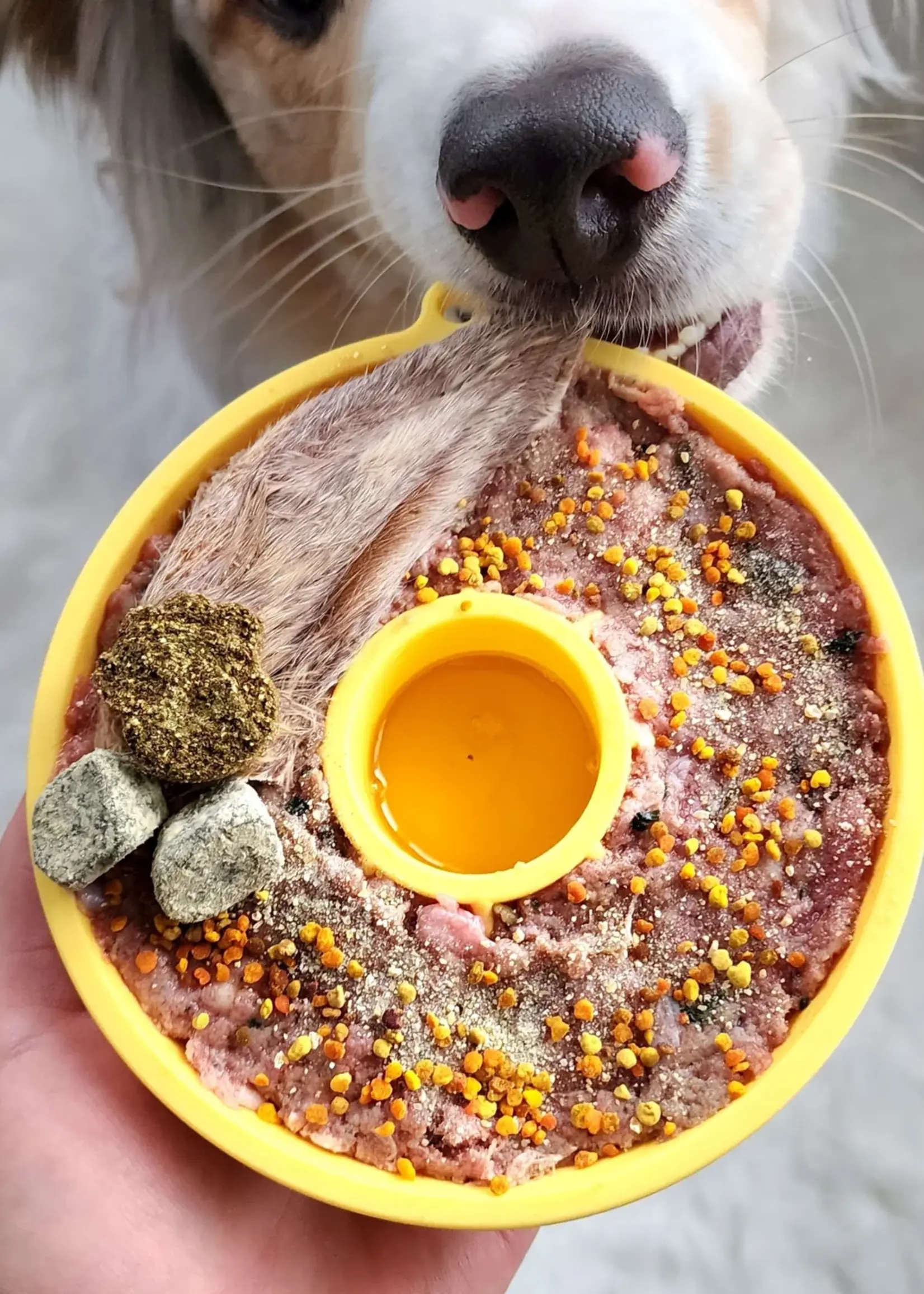 Dogs Crush Dog's Crush 3 in 1 Slow Feeder, Lick Mat and Crushsicle Bowl Small Kiwi Edition