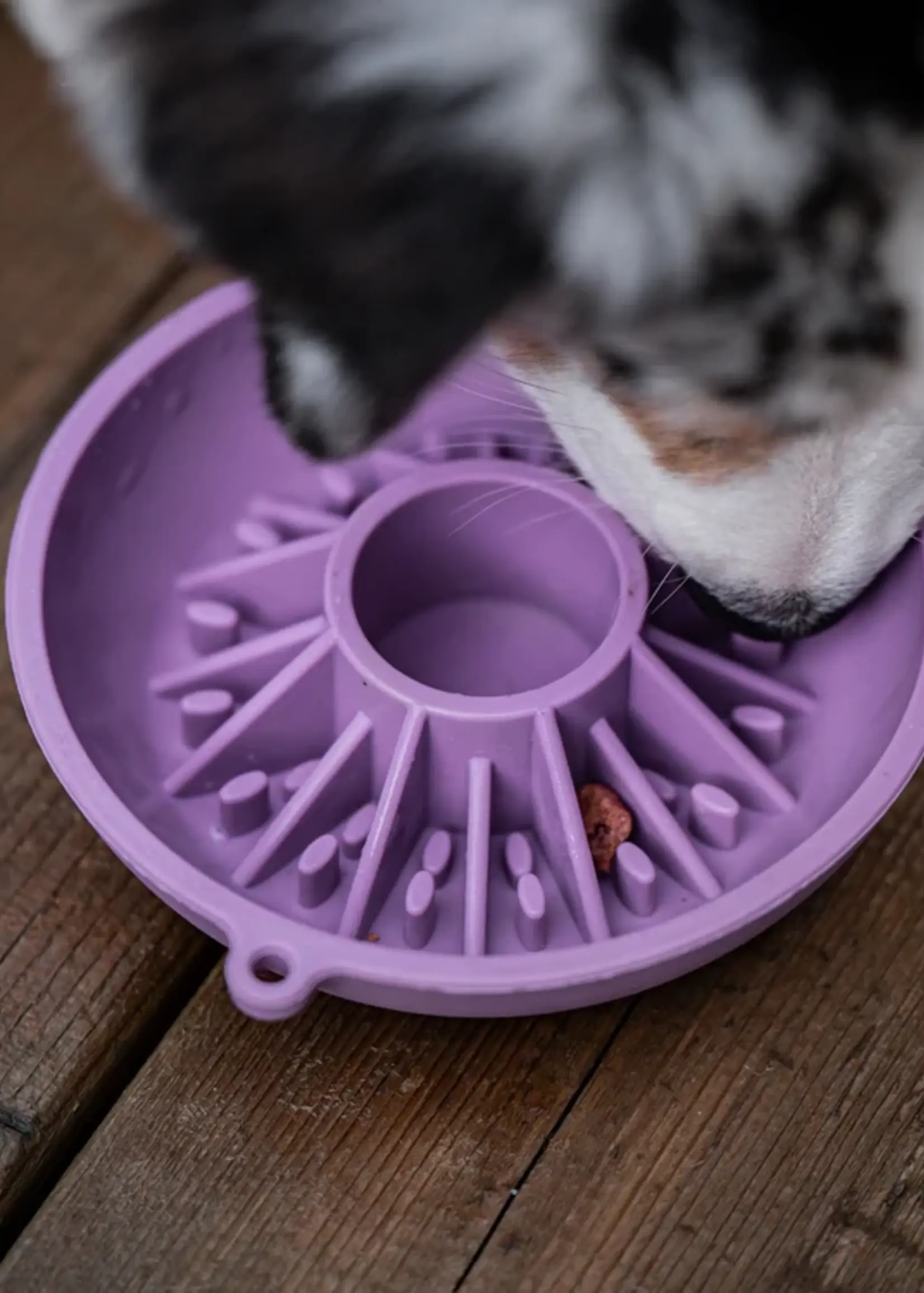 Dogs Crush Dog's Crush 3 in 1 Slow Feeder, Lick Mat and Crushsicle Bowl Small Kiwi Edition
