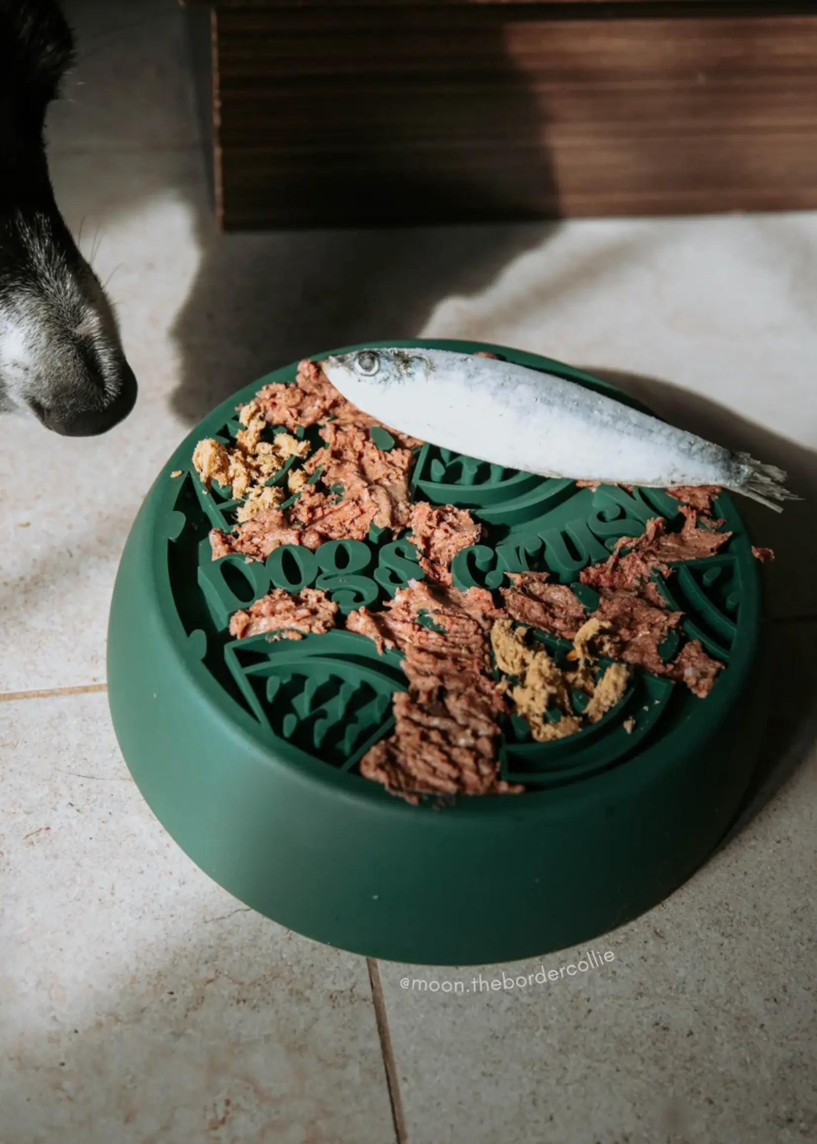Dogs Crush Dog's Crush 3 in 1 Slow Feeder, Lick Mat and Crushsicle Bowl Large Melon Edition