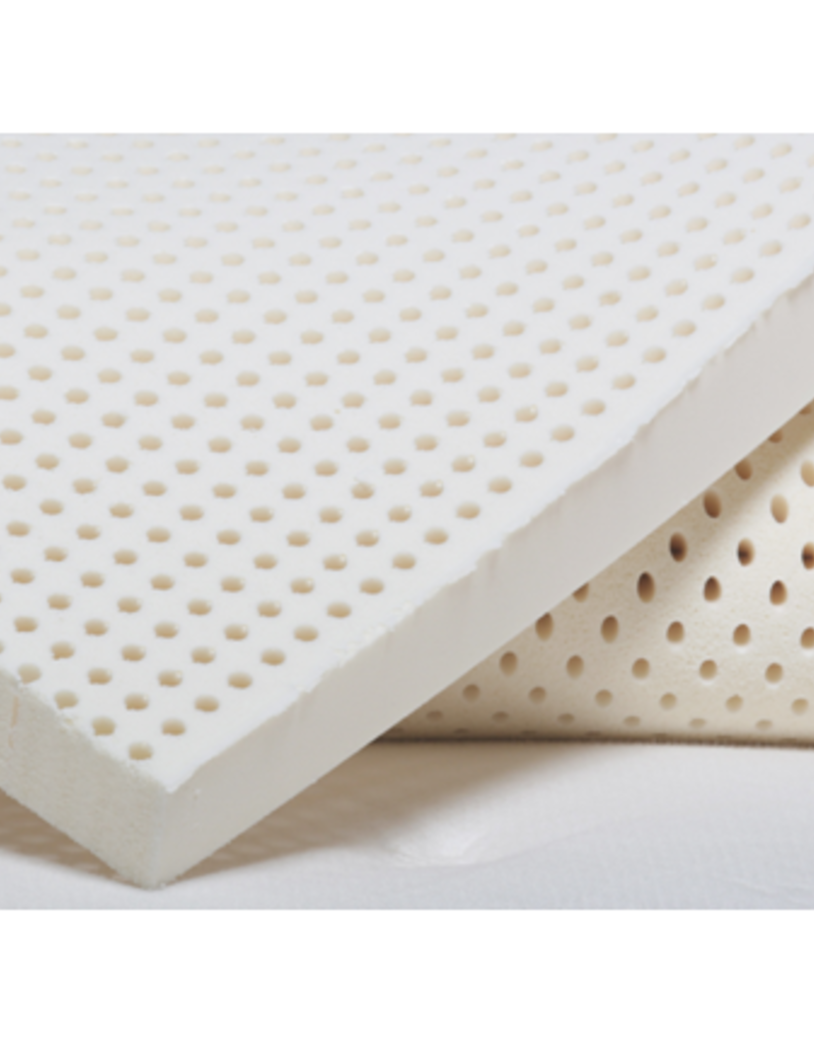 Onrechtvaardig Dosering Krijger Dunlop Latex Foam Medium (29 ILD) - Magic Sleeper