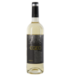 Egeo Rueda Verdejo 2023