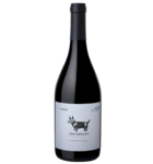 Viña Los Chocos Vertebrado Cabernet Franc 2022