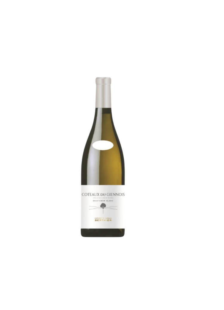 Clément et Florian Berthier Côteaux du Giennois Sauvignon Blanc 2023