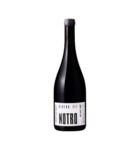 Roberto Henriquez Rivera del Notro Pais 2023