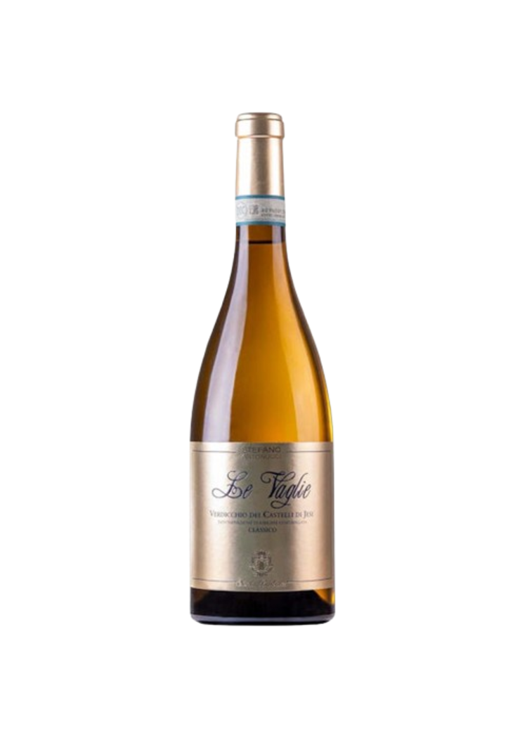 Santa Barbara Verdicchio Le Vaglie 2023