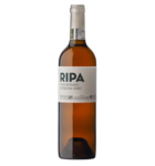 José Luis Ripa Viño Rosado  2020