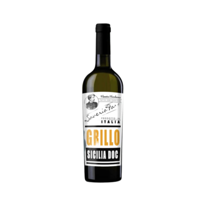 Saverio Faro Grillo 2024