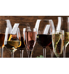 Discover Your Wine Style